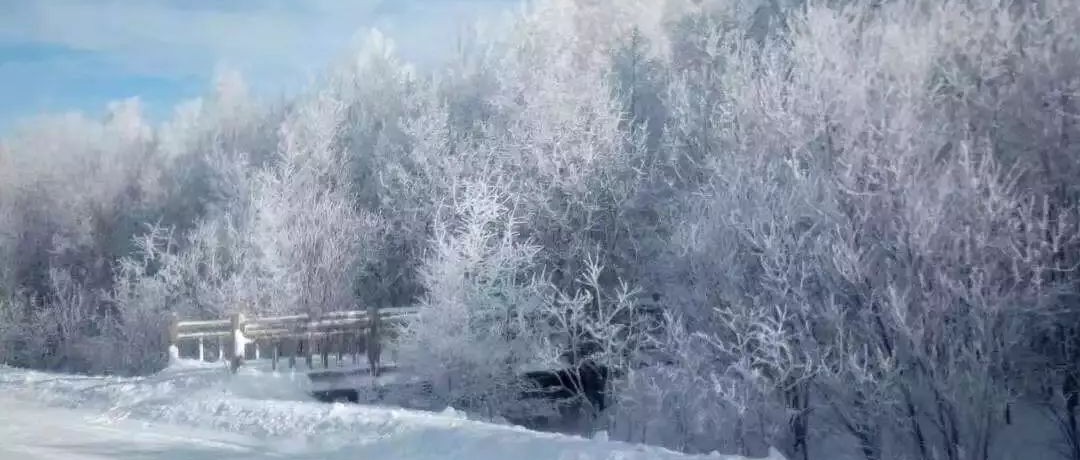 奕行記|奕路向北，駛向雪國阿爾山